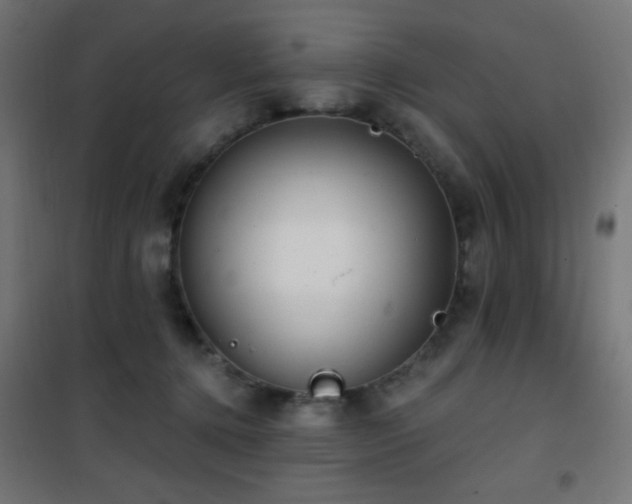 X0000101450368200807071411
