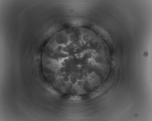 X0000101450369200807071411
