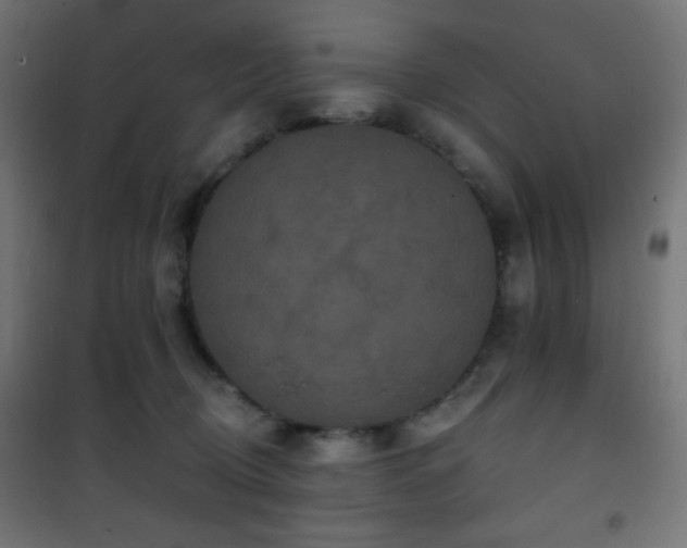 X0000101450370200807071411