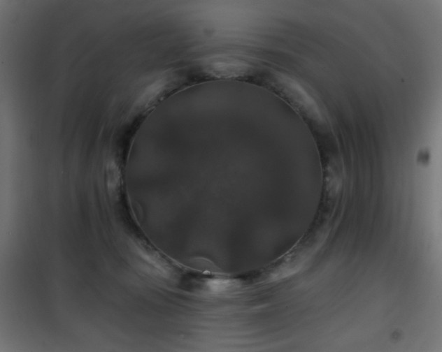 X0000101450371200807071411