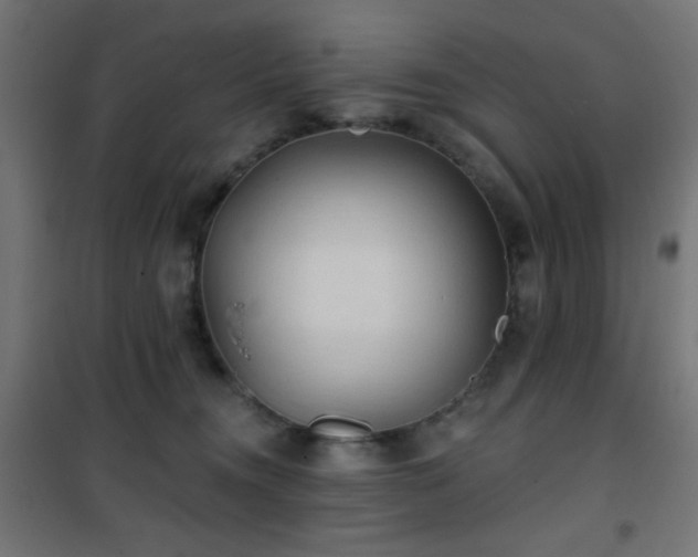 X0000101450372200807071411