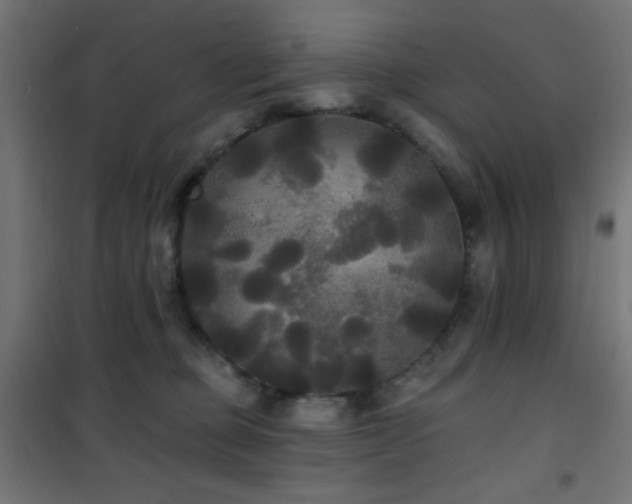 X0000101450373200807071411