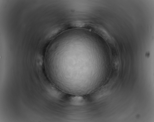 X0000101450374200807071411