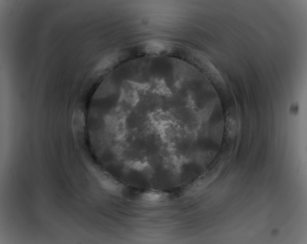 X0000101450375200807071411