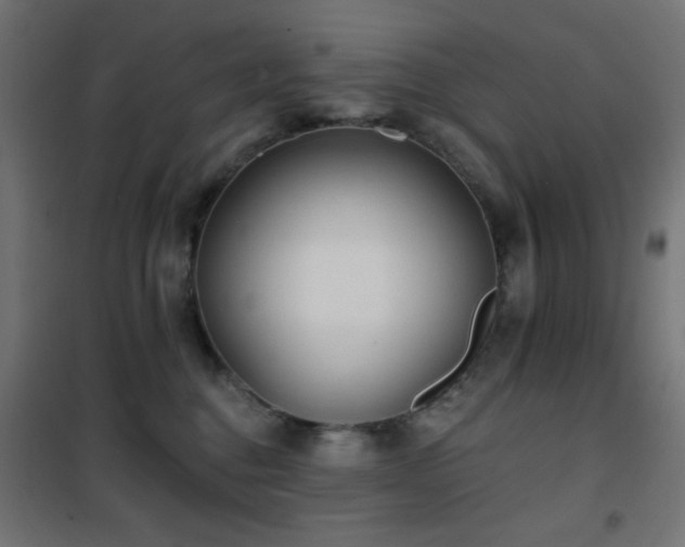 X0000101450376200807071411