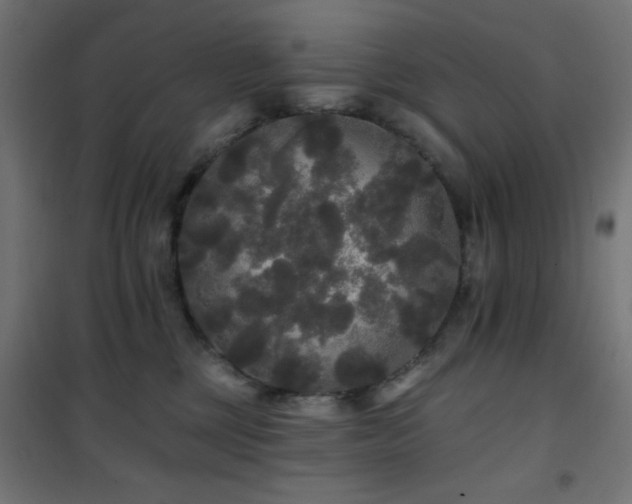 X0000101450377200807071411
