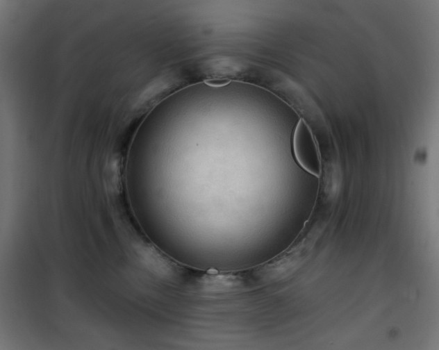 X0000101450378200807071411