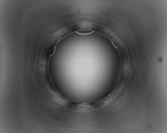 X0000101450379200807071411