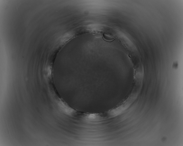 X0000101450382200807071411