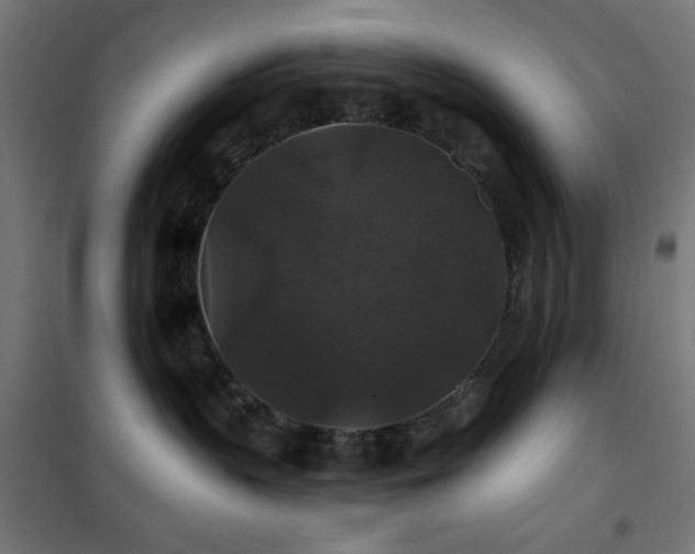 X0000101450383200807071411