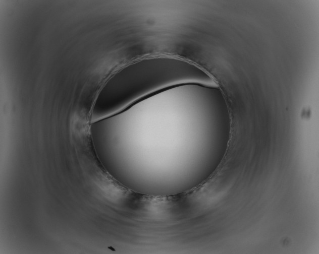 X0000101450384200807071411