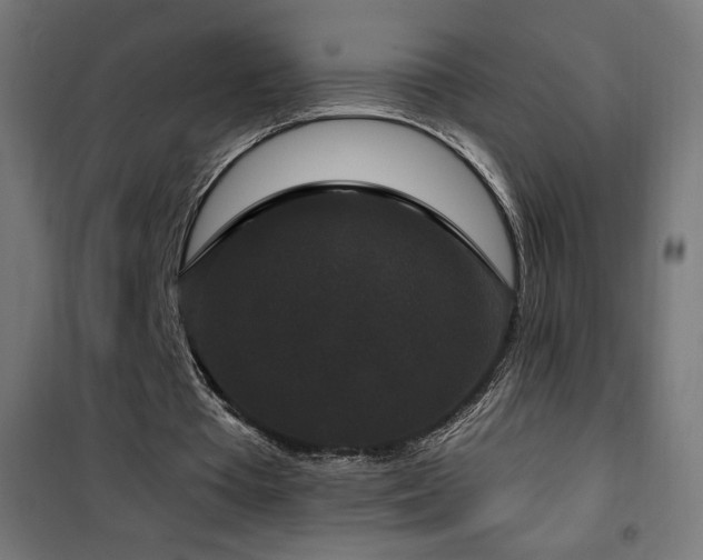 X0000101450385200807071411