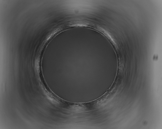 X0000101450386200807071411