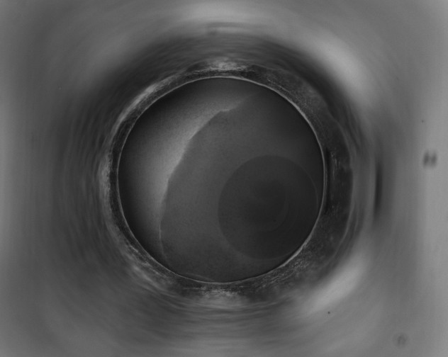 X0000101450387200807071411
