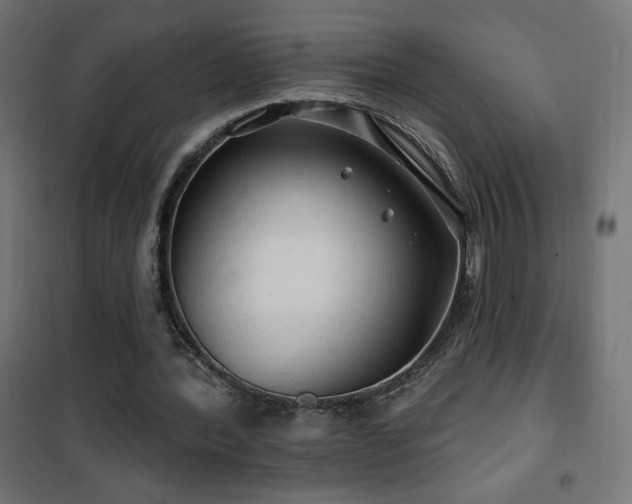 X0000101450388200807071411