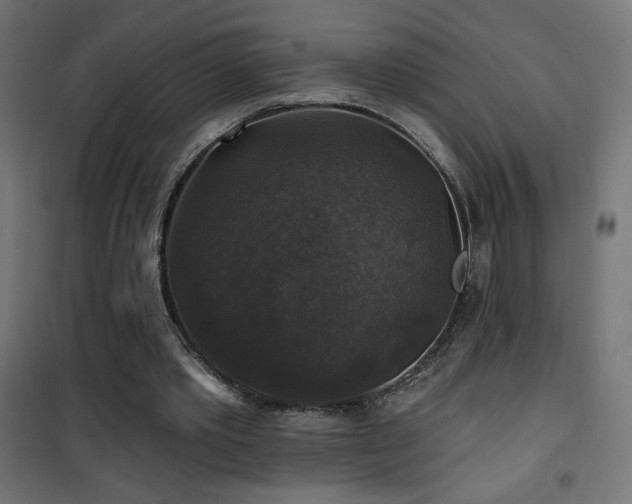 X0000101450389200807071411