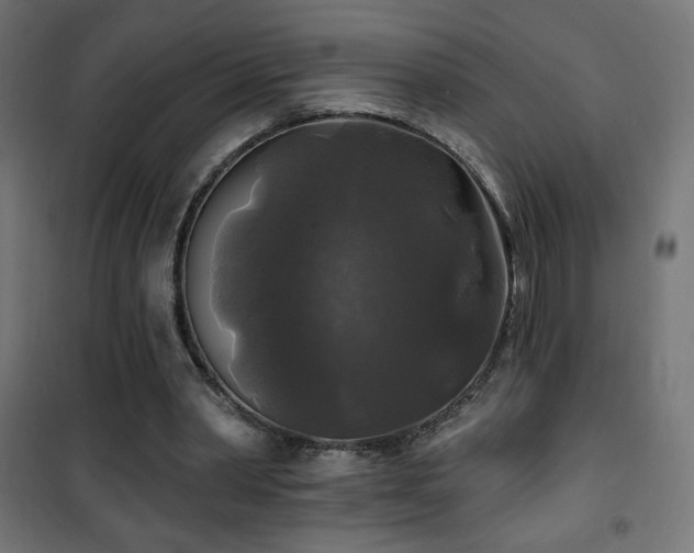 X0000101450390200807071411