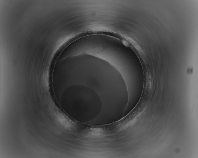 X0000101450391200807071411