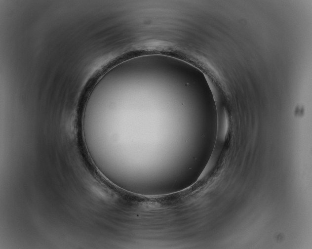 X0000101450392200807071411