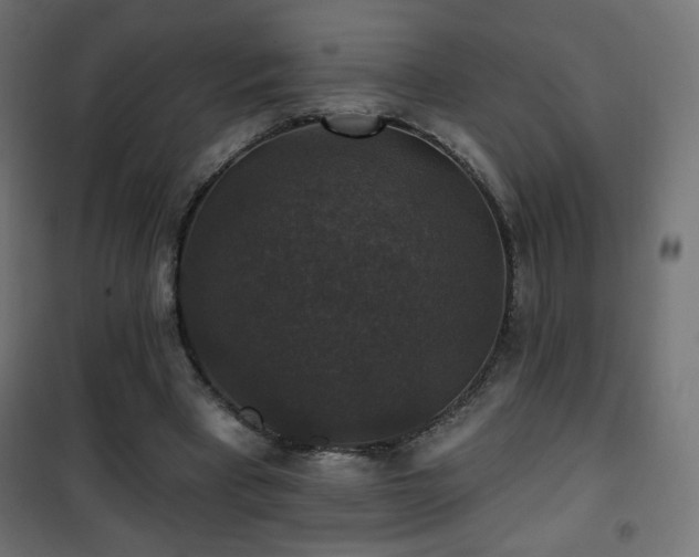 X0000101450393200807071411