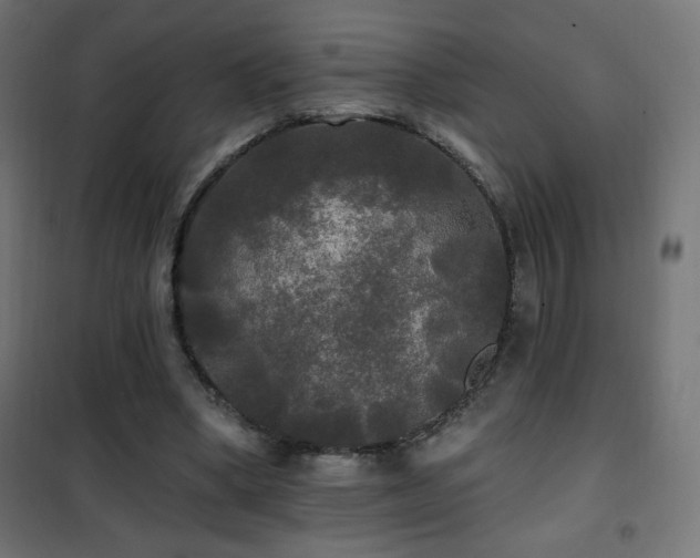 X0000101450394200807071411