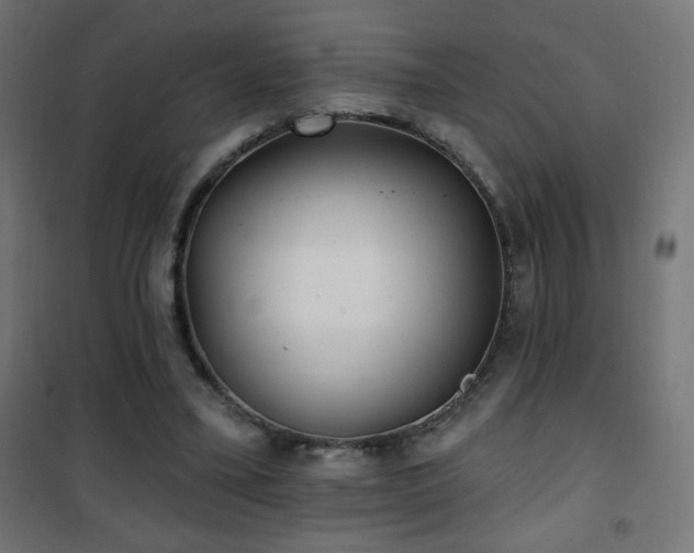 X0000101450395200807071411