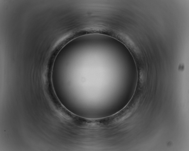 X0000101450396200807071411