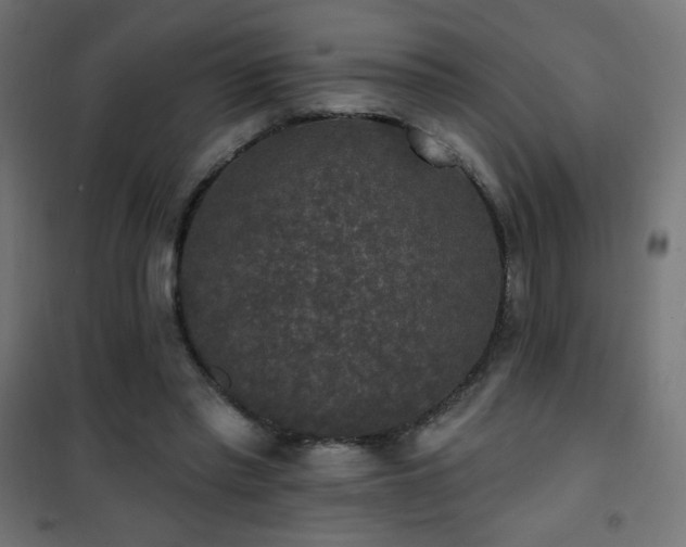 X0000101450397200807071411