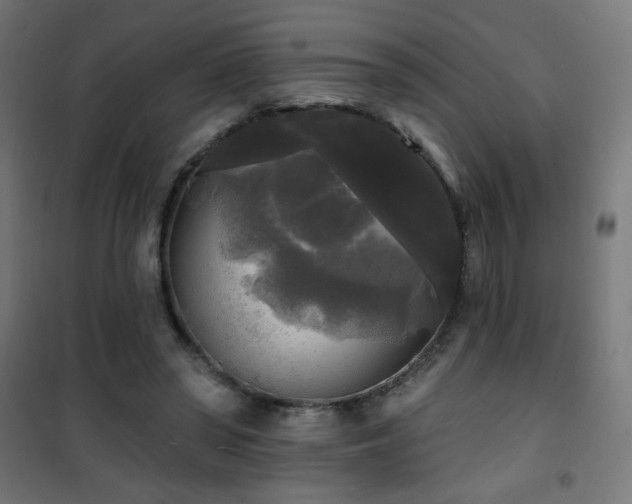 X0000101450398200807071411