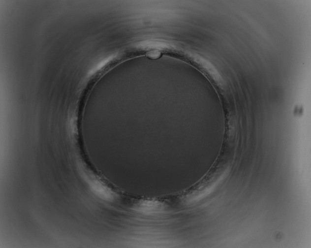 X0000101450399200807071411