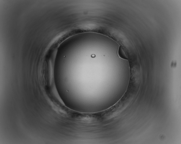 X0000101450400200807071411