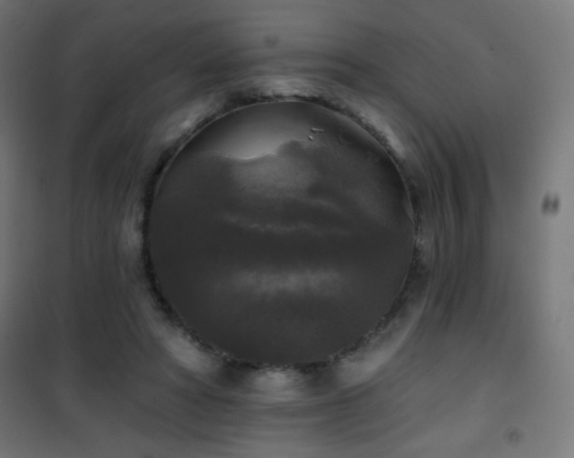 X0000101450402200807071410