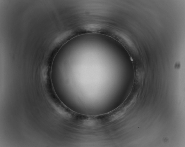 X0000101450404200807071410