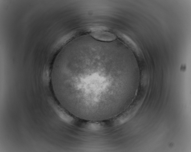 X0000101450405200807071410