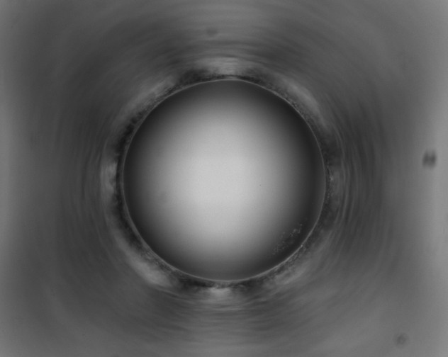 X0000101450406200807071410