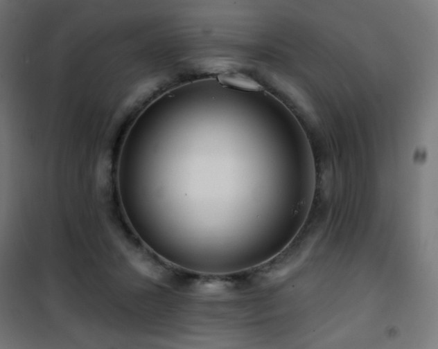 X0000101450407200807071410