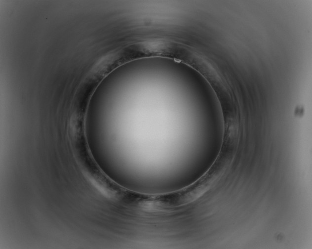 X0000101450408200807071410