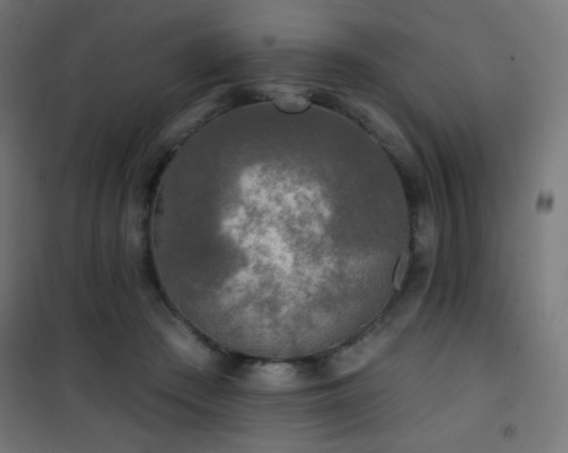 X0000101450409200807071410