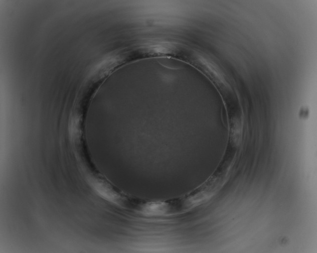 X0000101450410200807071410