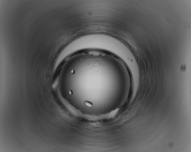 X0000101450411200807071410