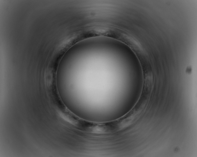 X0000101450412200807071410