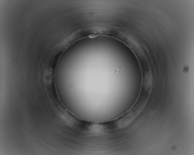 X0000101450413200807071410