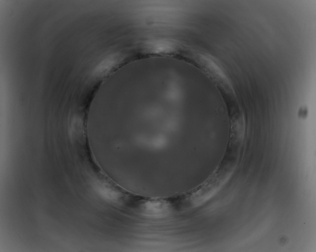 X0000101450415200807071410