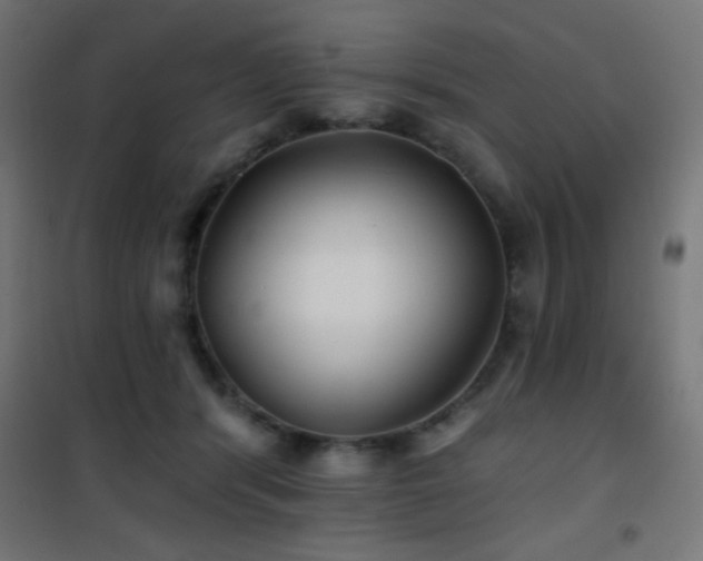 X0000101450416200807071410
