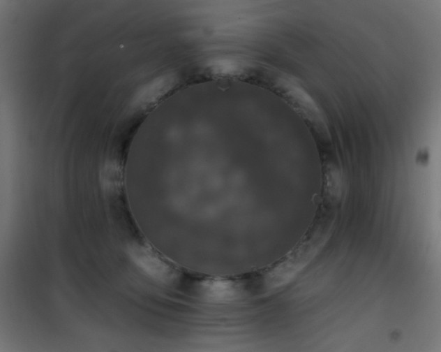 X0000101450419200807071410