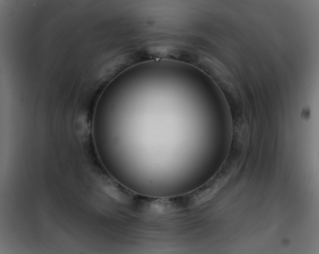 X0000101450420200807071410