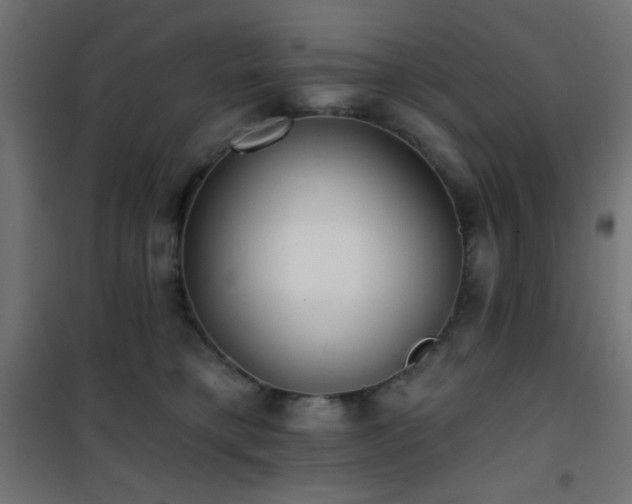 X0000101450421200807071410
