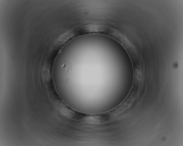 X0000101450422200807071410