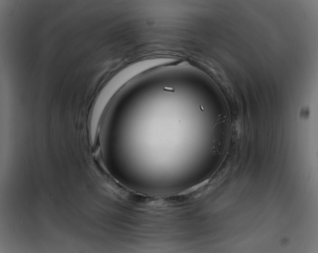 X0000101450423200807071410