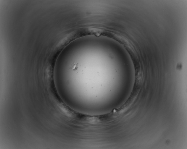 X0000101450424200807071410